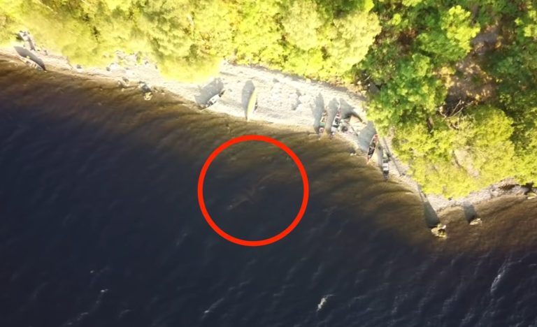 Loch Ness Monster Spotted In Drone Footage