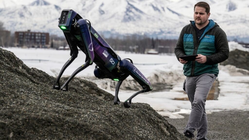 Robot Coyote Deployed To Prevent Bird Strikes At Alaska Airport 1