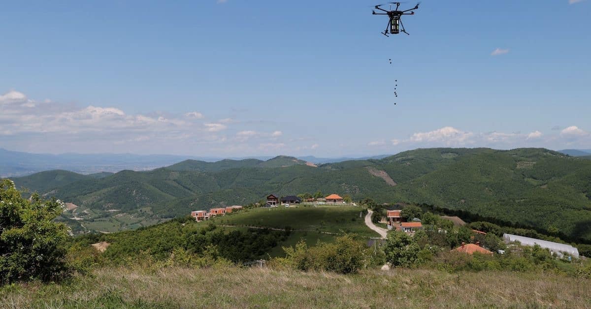 Seed-Dropping Drones Combat Deforestation In Kosovo 1