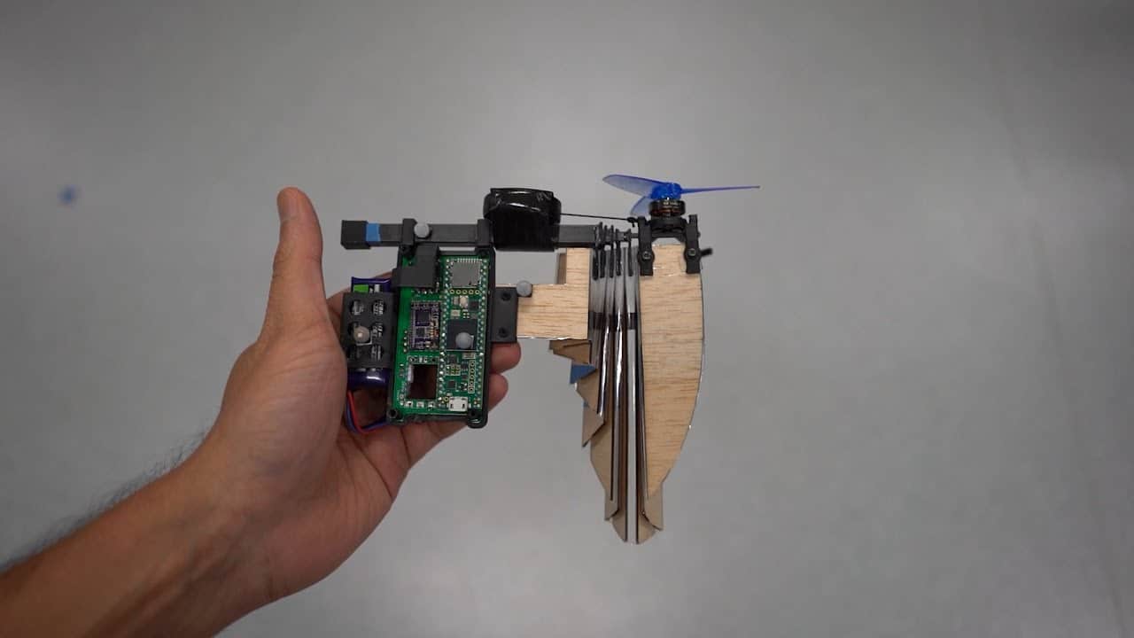 Revolutionary Foldable Drones Inspired By Nature