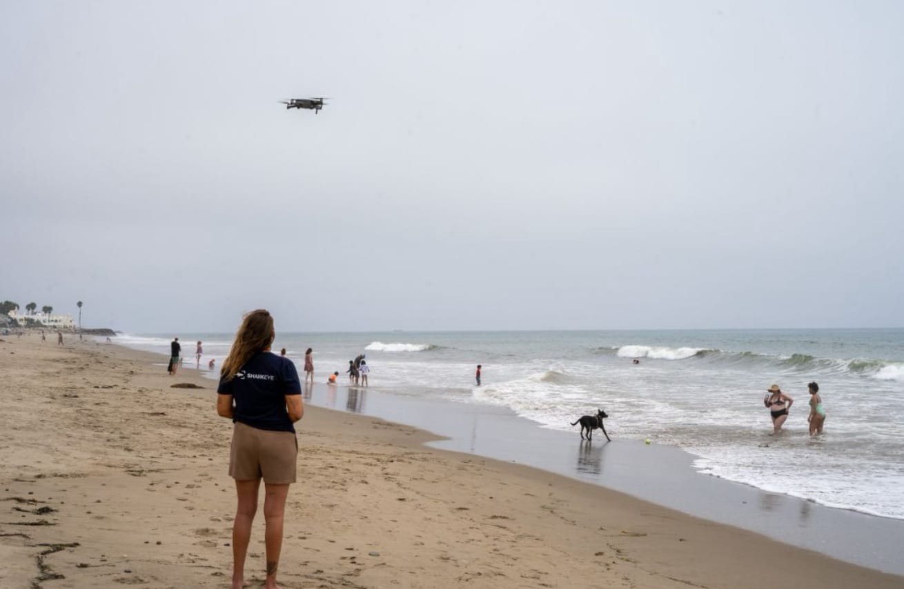 Ai-Powered Drones Keep Beachgoers Safe From Sharks In California 1