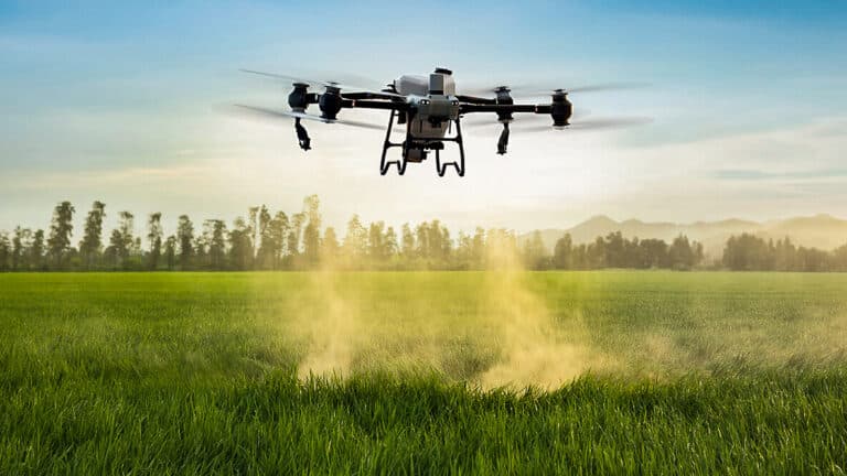 Drone Spray Pasture Weed Uas Uav Agras Dji