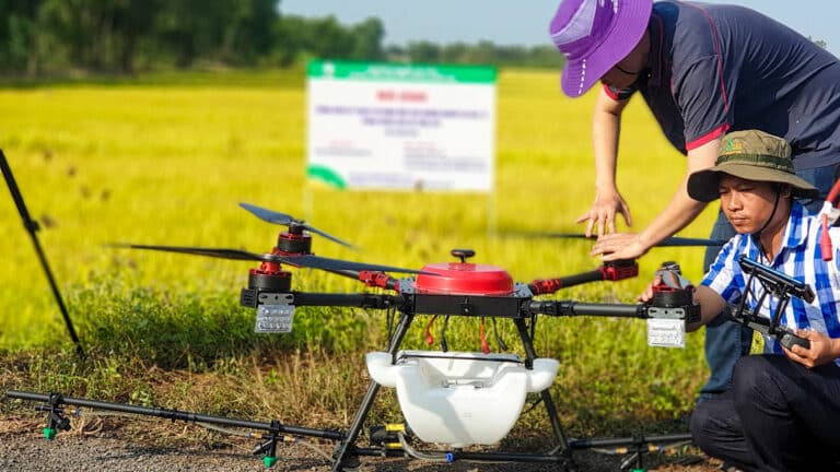 Vietnam Drone Uas Uav Rice Crop