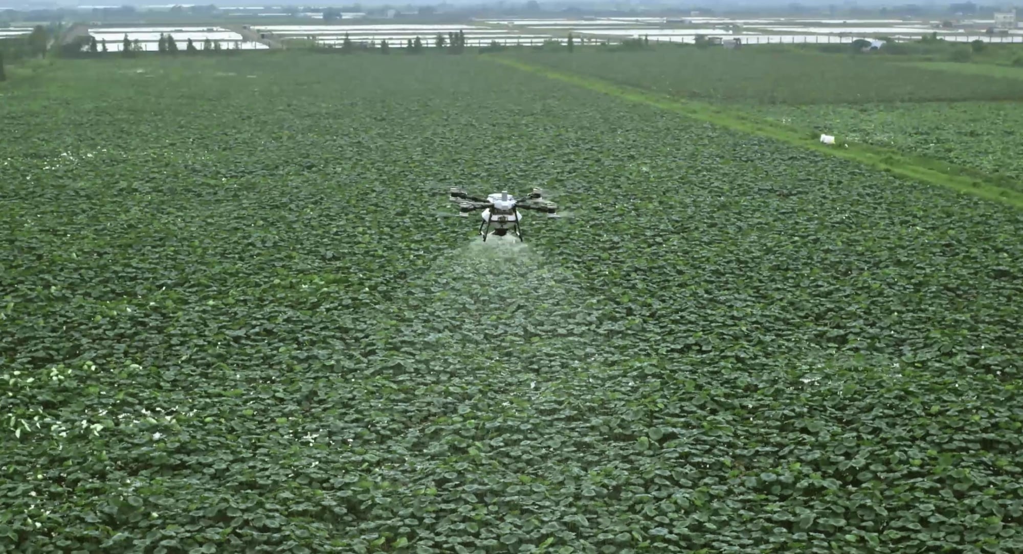 Dji Unveils Agras T100 Drone: Elevating Precision Agriculture With 100-Kg Payload Capacity 3 Dji Unveils Agras T100 Drone: Elevating Precision Agriculture With 100-Kg Payload Capacity 3