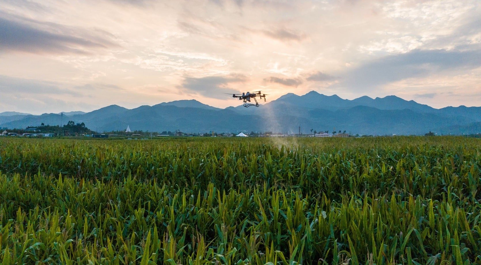 Dji Launches Agras T100, T70P, And T25P Drones: Boosting Agricultural Efficiency Worldwide 2 Dji Launches Agras T100, T70P, And T25P Drones: Boosting Agricultural Efficiency Worldwide 2