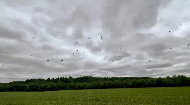 Drone Ceo Warns Of Escalating Airspace Risks, Calls For Urgent Reforms 4