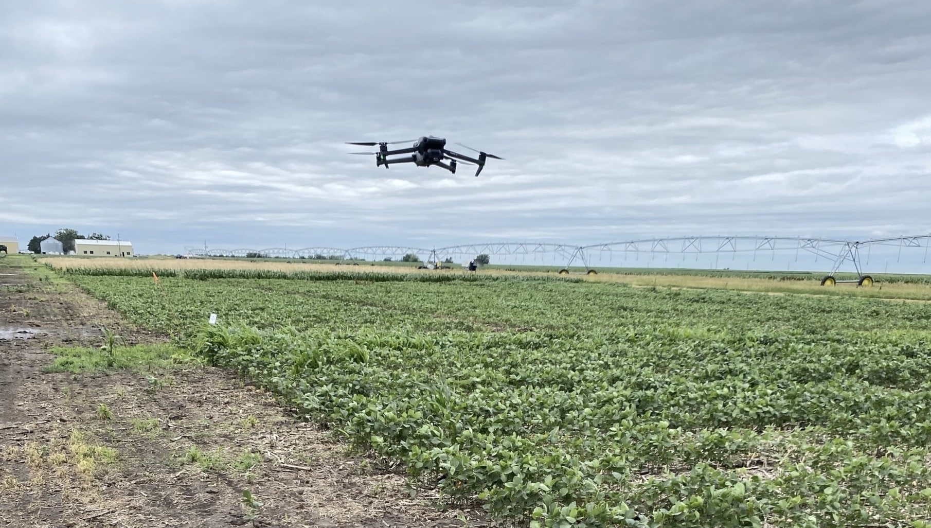 North Dakota’s Bold $300,000 Bet On Ai Drones To Crush Invasive Weeds Before They Strike 1