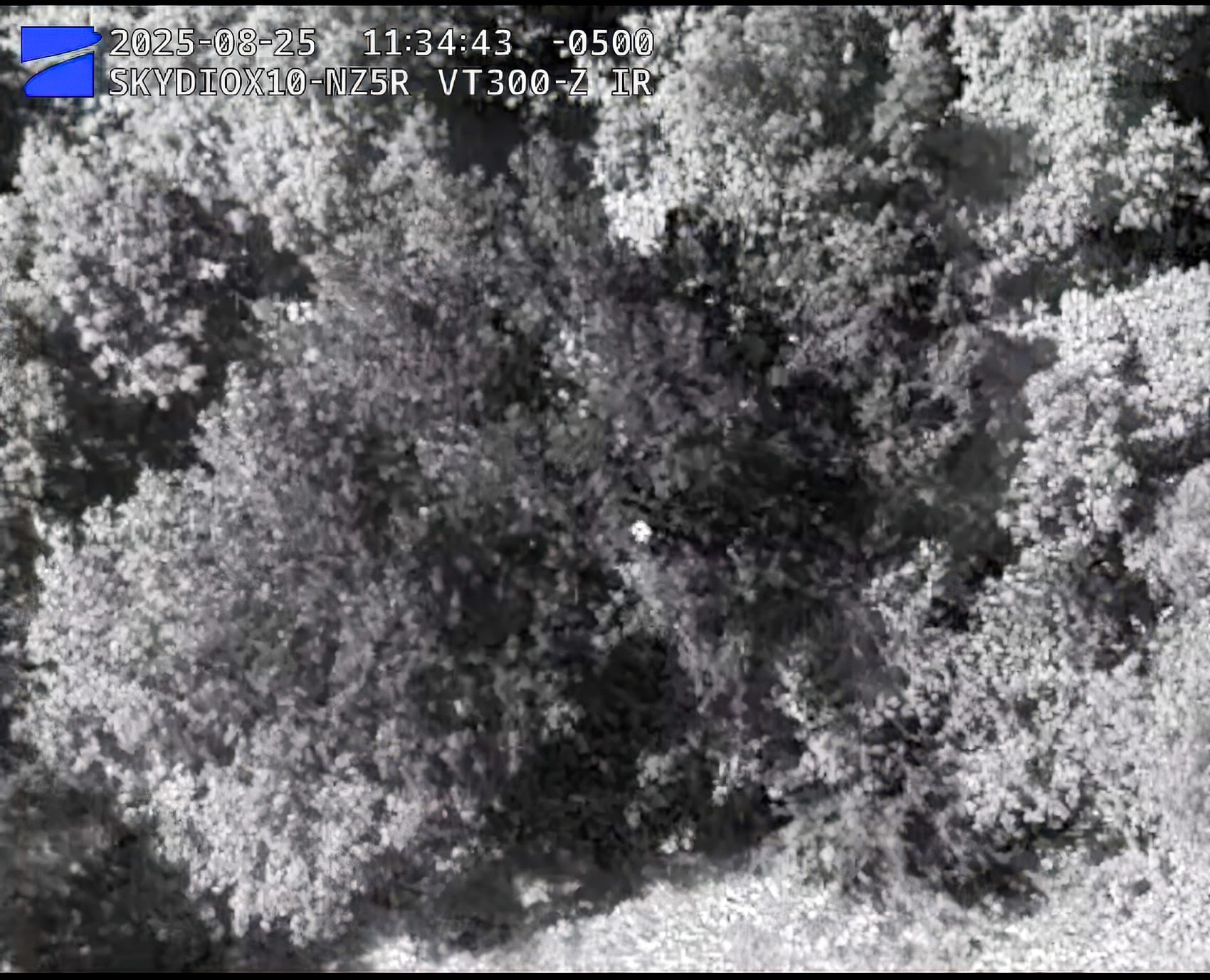 Skydio Drone with Thermal Camera Rescues Missing 70-Year-Old Woman