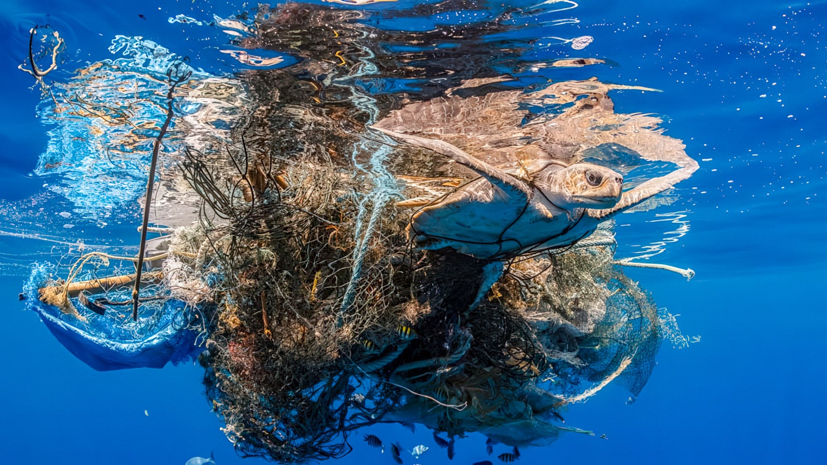 Ai Drone Drones Australia Ghost Nets Carpentaria Drone Uav Uas