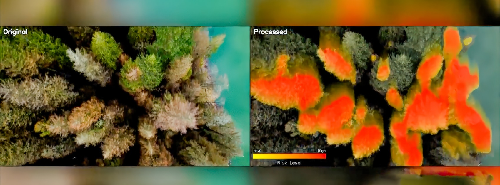 Drones Map Wildfire Risk: Bcit’s Ai-Powered Firefighting Revolution