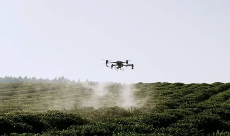 Brazilian Coffee Farmer Enhances Crop Protection Using Dji Drones 1