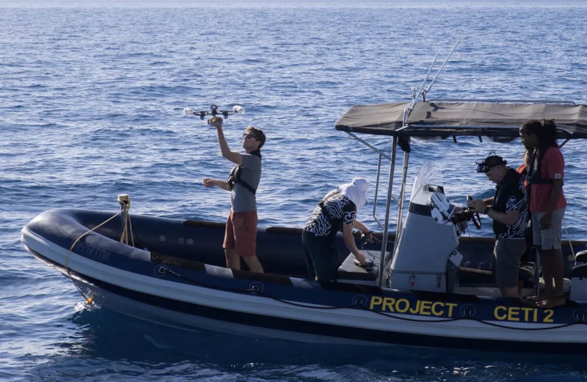 Revolutionary Drone ‘Tap-And-Go’ Tagging Transforms Whale Research With Less Stress 3