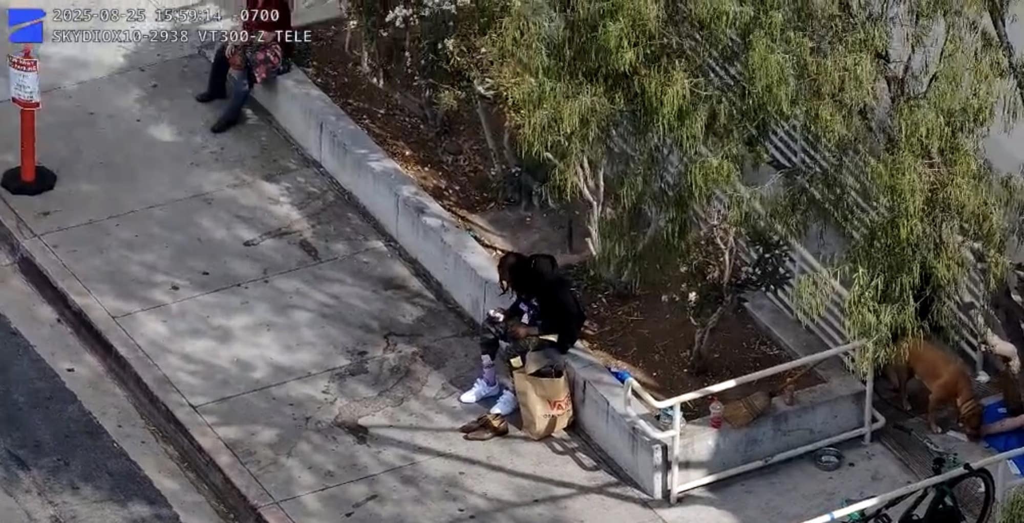 Police Drones Assist Firefighting And Robbery Arrest In San Diego County 1