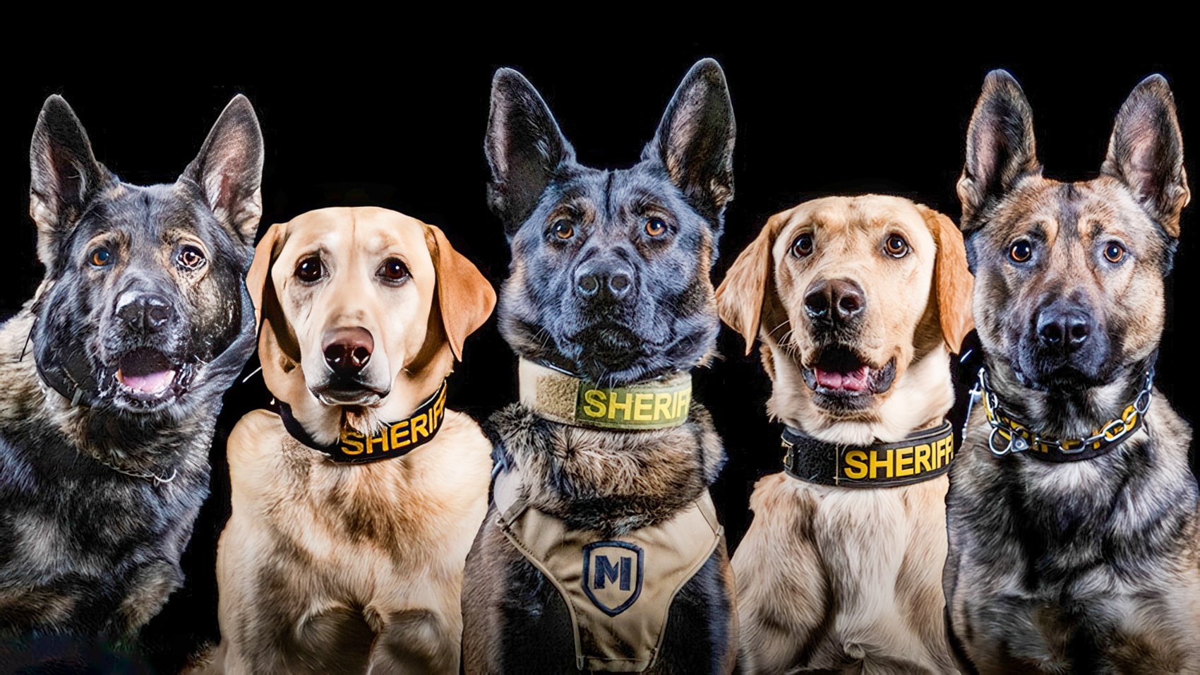 Drone Drones Autistic Boy K9 Indiana Rescue Cornfield Uav Uas