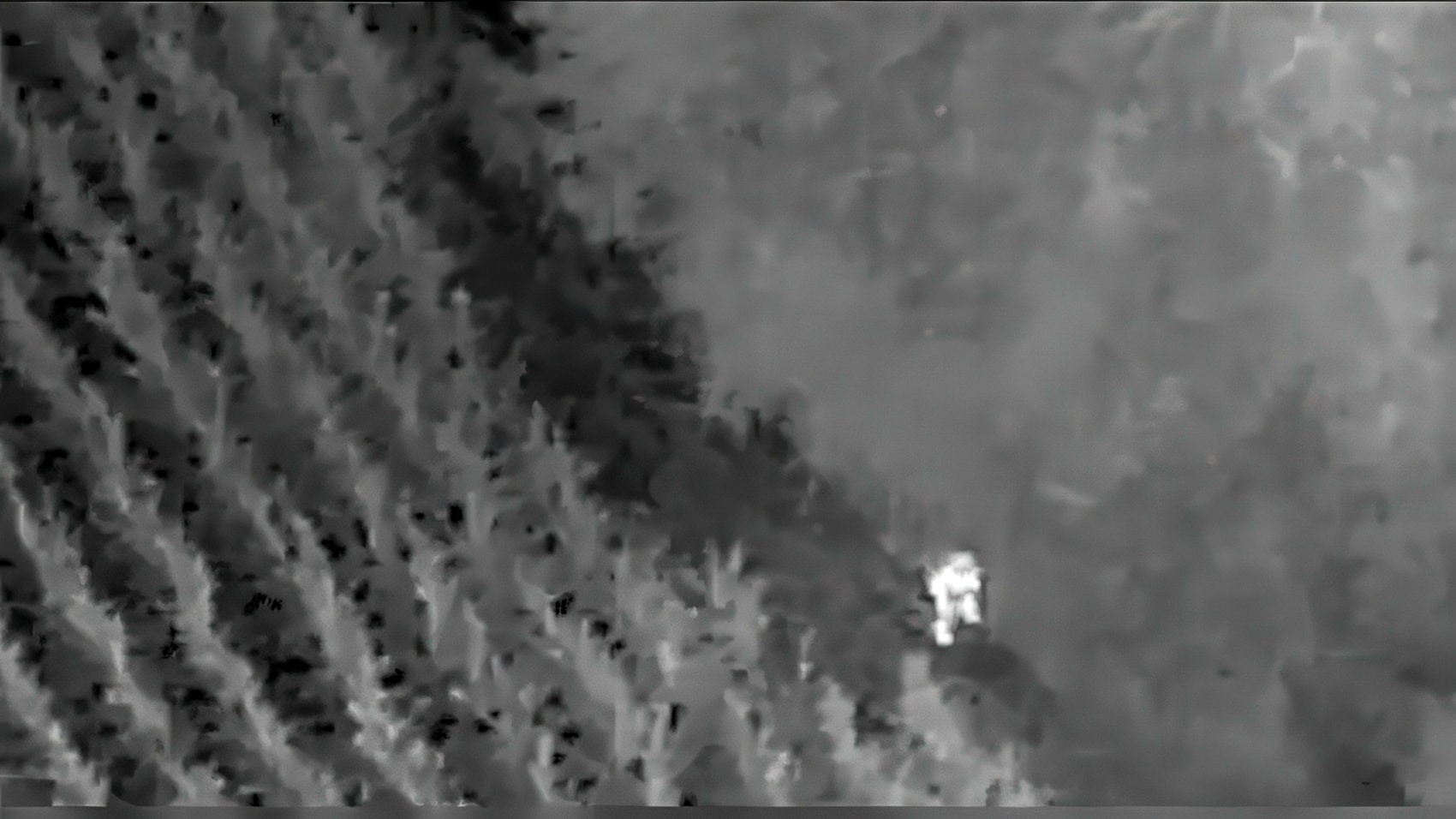 Drone Drones Autistic Boy K9 Indiana Rescue Cornfield Uav Uas