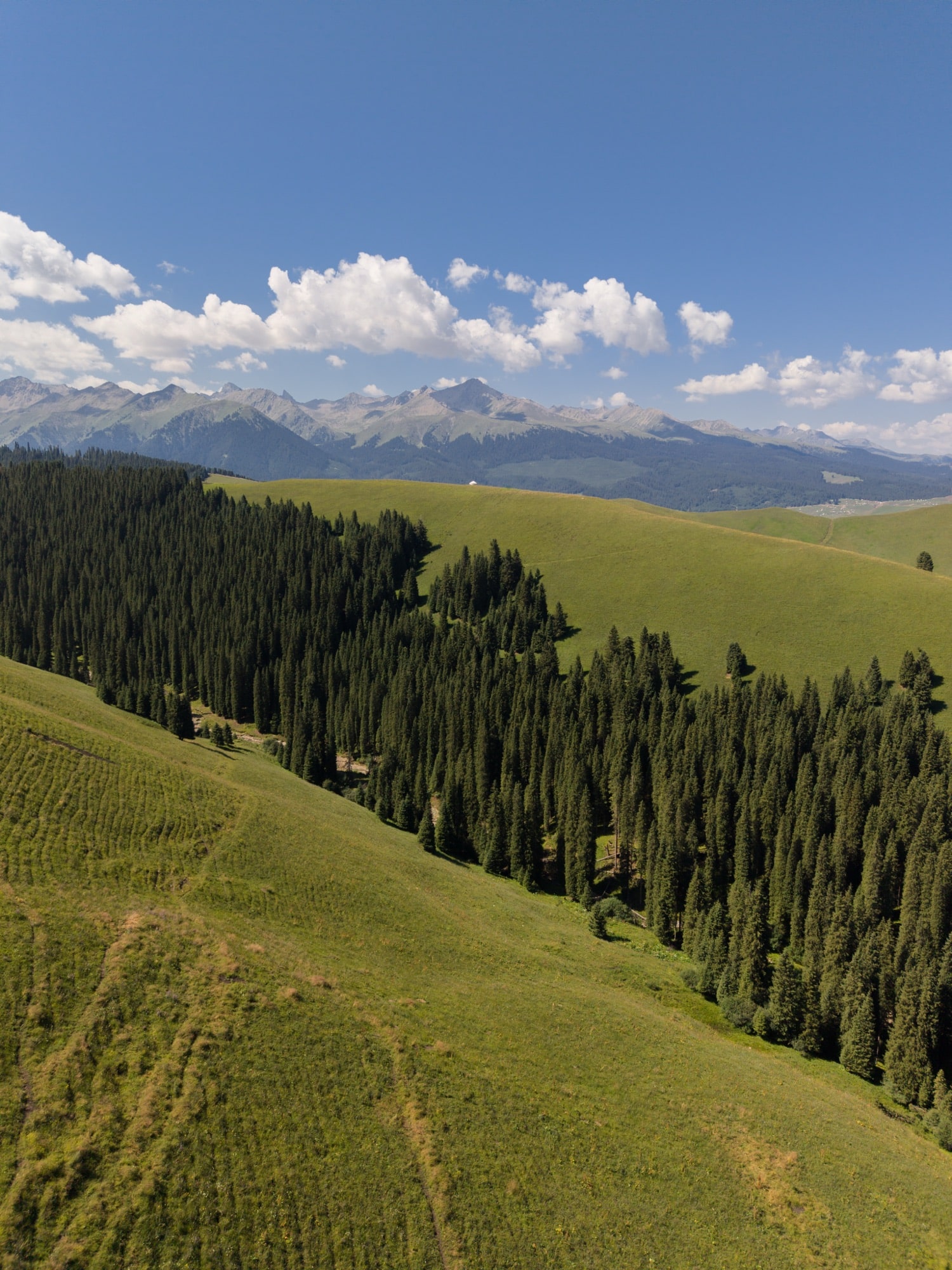 Dji Mini 5 Pro Debuts World’s First 1-Inch Sensor In Mini Drone 37