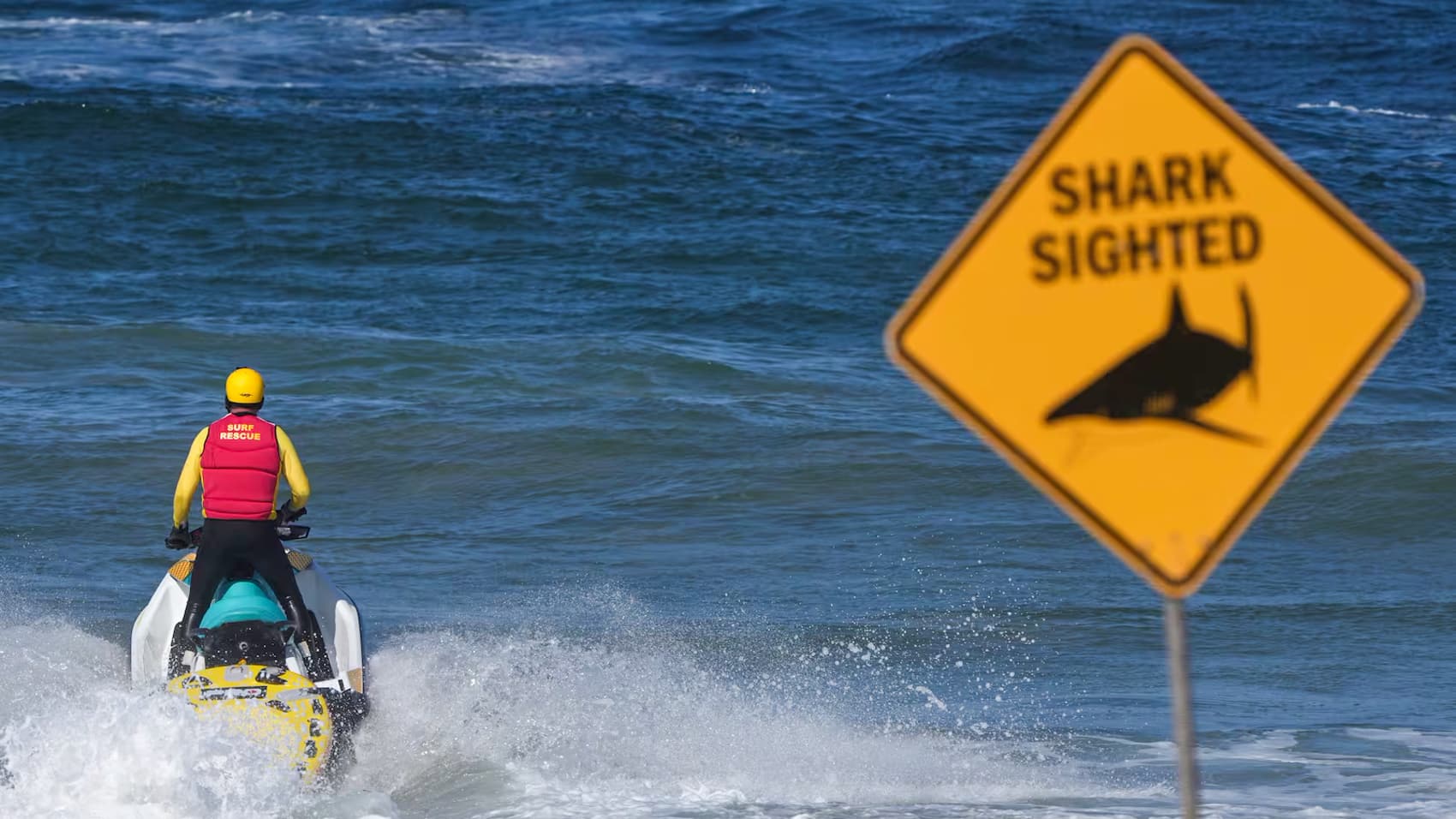 Popular Sydney Beach Deploys Drones, Helicopter After Fatal Shark Attack
