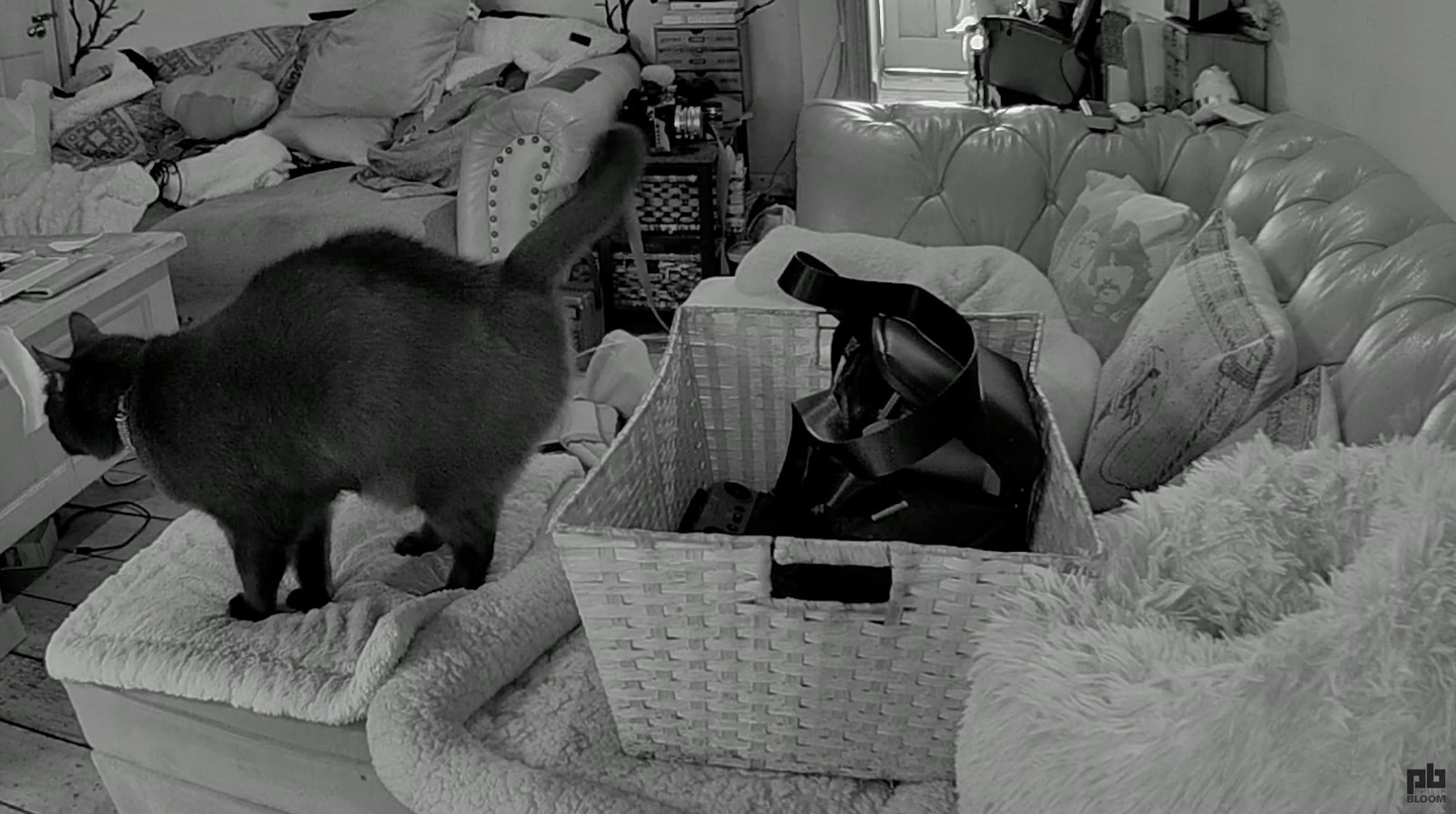 DJI Mini 5 Pro: Philip Bloom’s Comprehensive Review Unveils Game-Changing Features for Drone Pilots