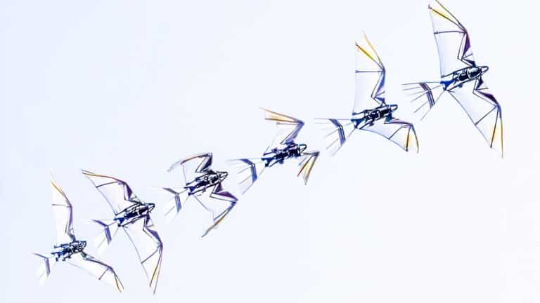 Robofalcon 2.0: The Drone That Flies Like A Bird