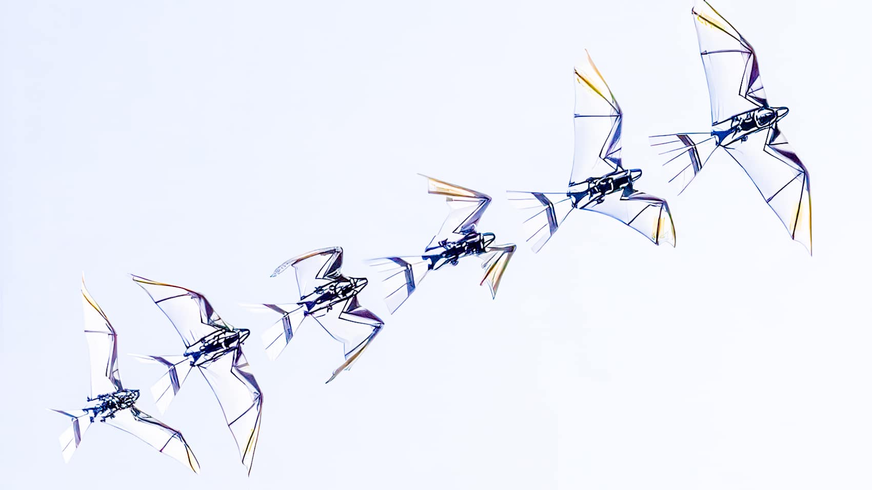 Robofalcon 2.0: The Drone That Flies Like A Bird