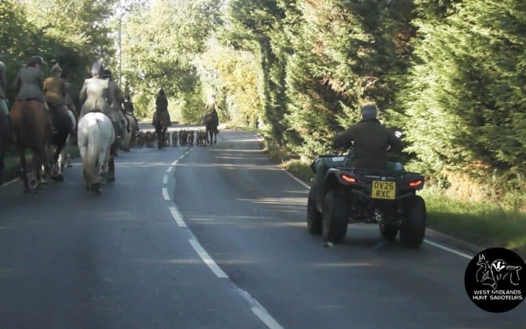 Uk Drone Wars: Hunts And Saboteurs Clash In High-Tech Aerial Conflict