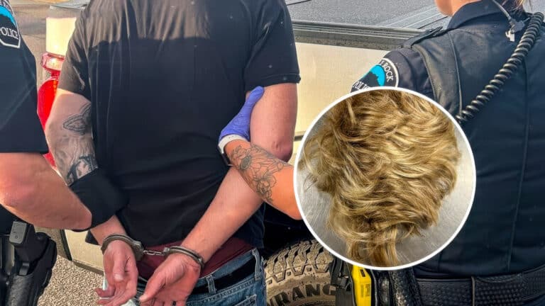 Police Drone Led To A Wig-Wearing Thief'S &Quot;Bad Hair Day&Quot;