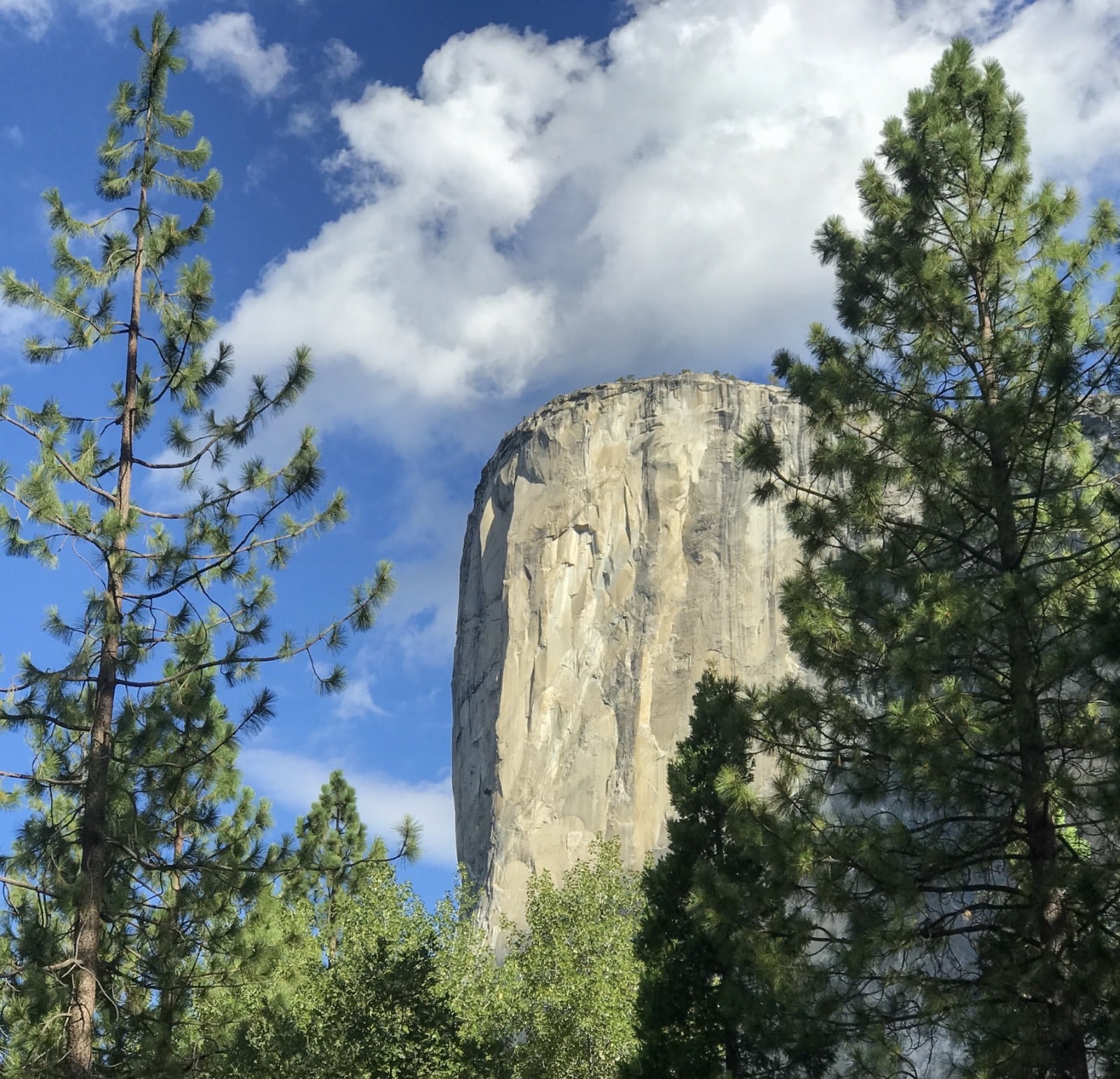 Illegal Drone Flights Surge In Yosemite As Government Shutdown Cripples Ranger Enforcement