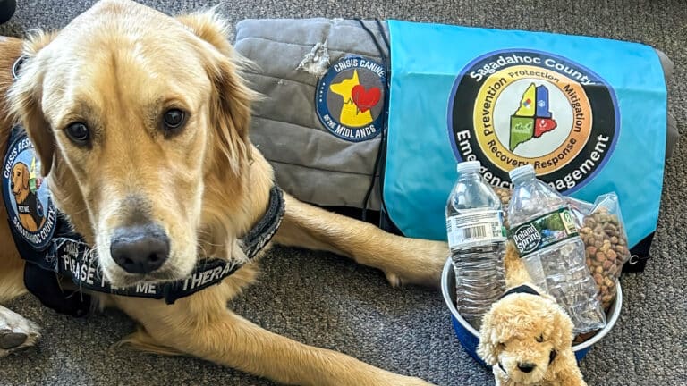 Autel Thermal Drone And Therapy Pup Team Up In Maine