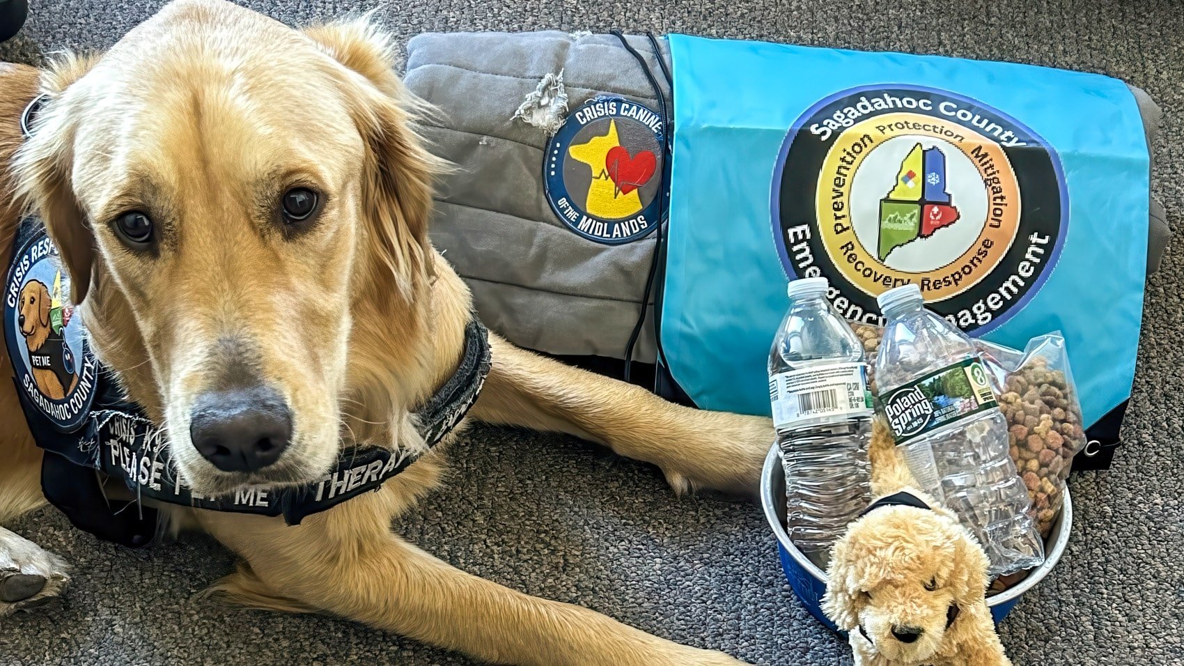 Autel Thermal Drone And Therapy Pup Team Up In Maine