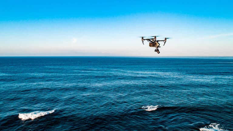 Dji Drones Catch Orcas Hunting Great Whites In Mexico