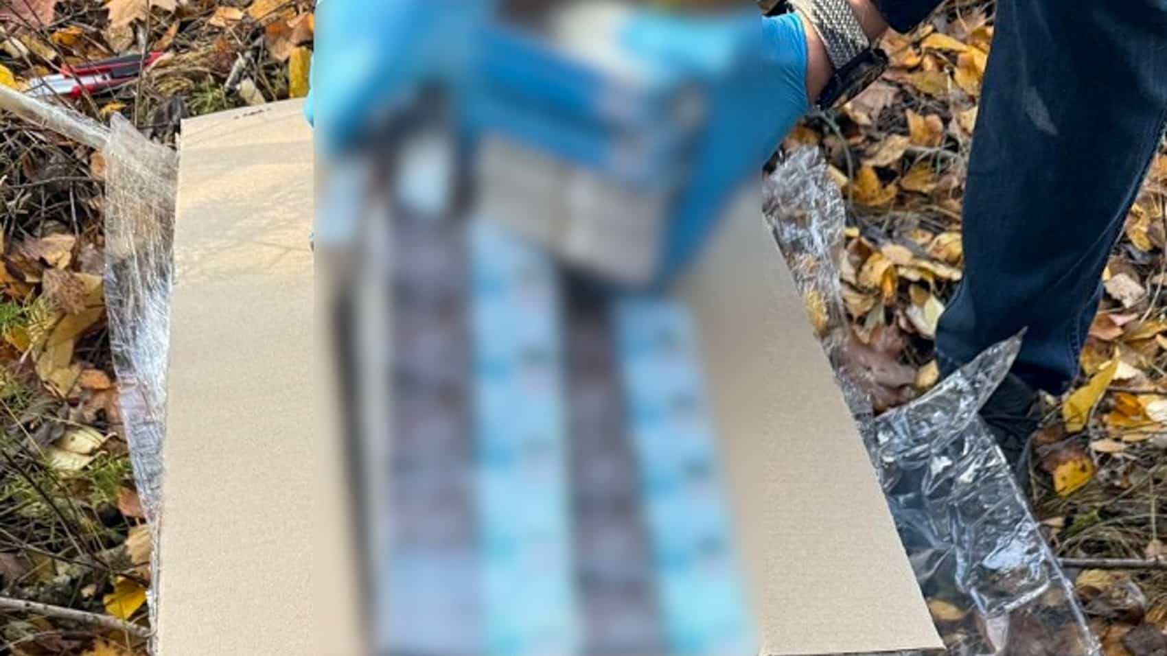 Polish Border Guards Seize Drone Smuggling Hundreds Of Cigarette Packs From Belarus