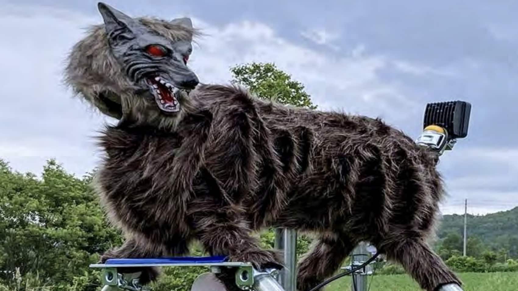 Japan to Deploy Drones That Bark Like Dogs to Scare Off Bears