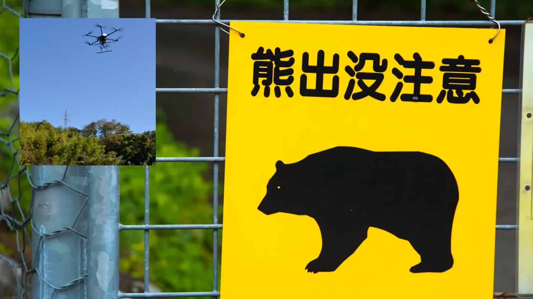 Japan To Deploy Drones That Bark Like Dogs To Scare Off Bears