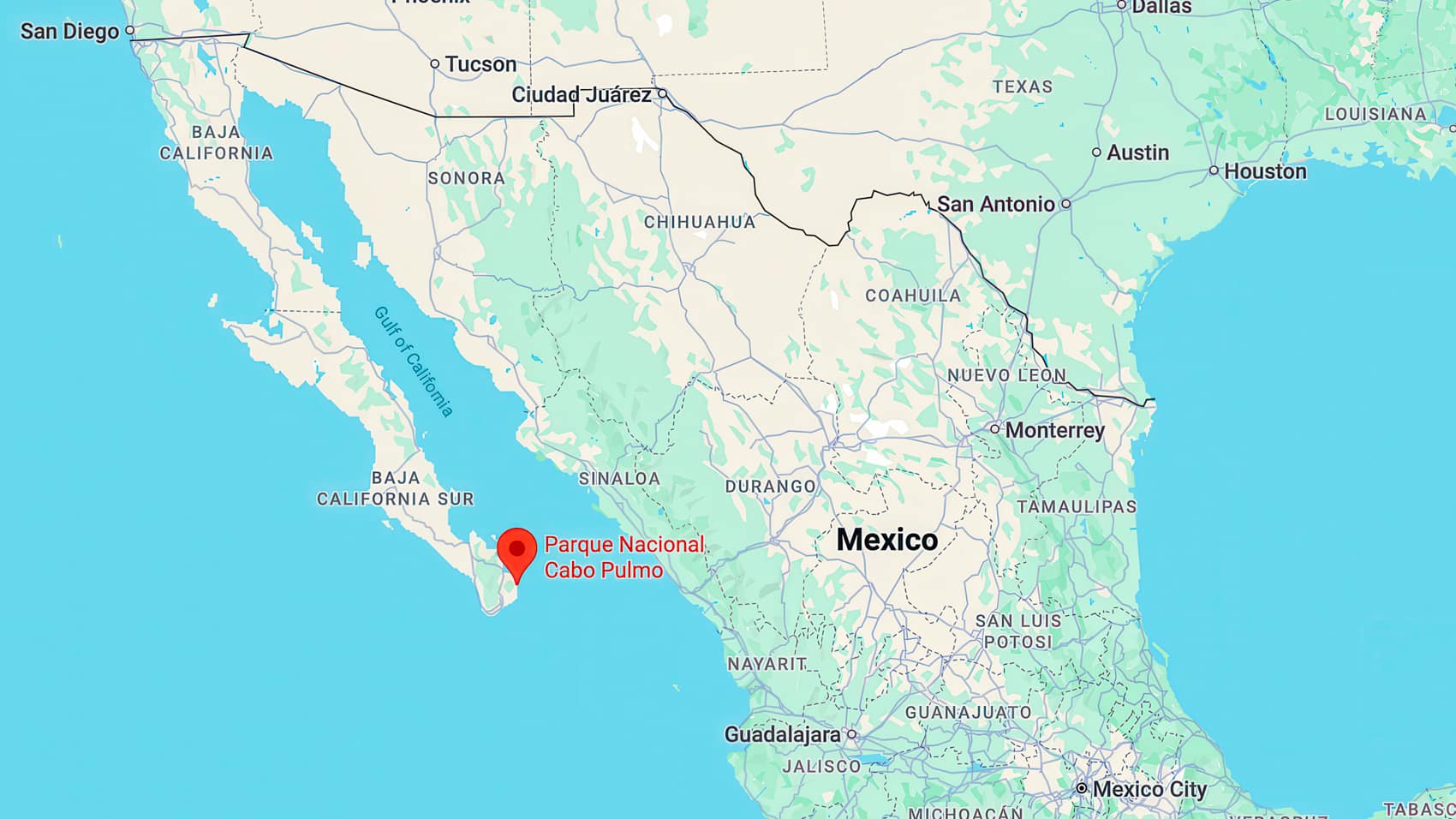 Dji Drones Catch Orcas Hunting Great Whites In Mexico