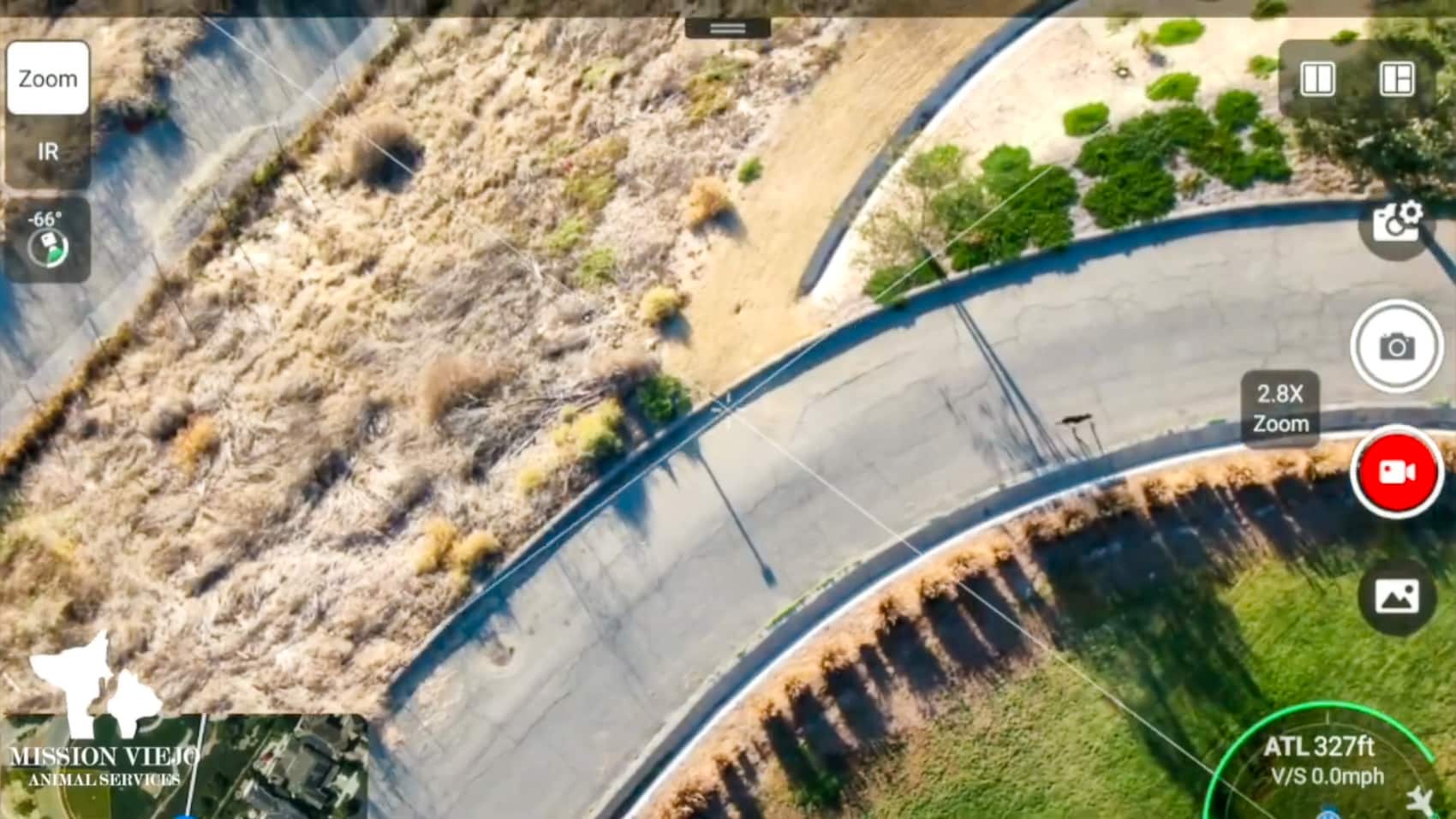 rone Helps Reunite Lost Dog With Her Owner in Mission Viejo