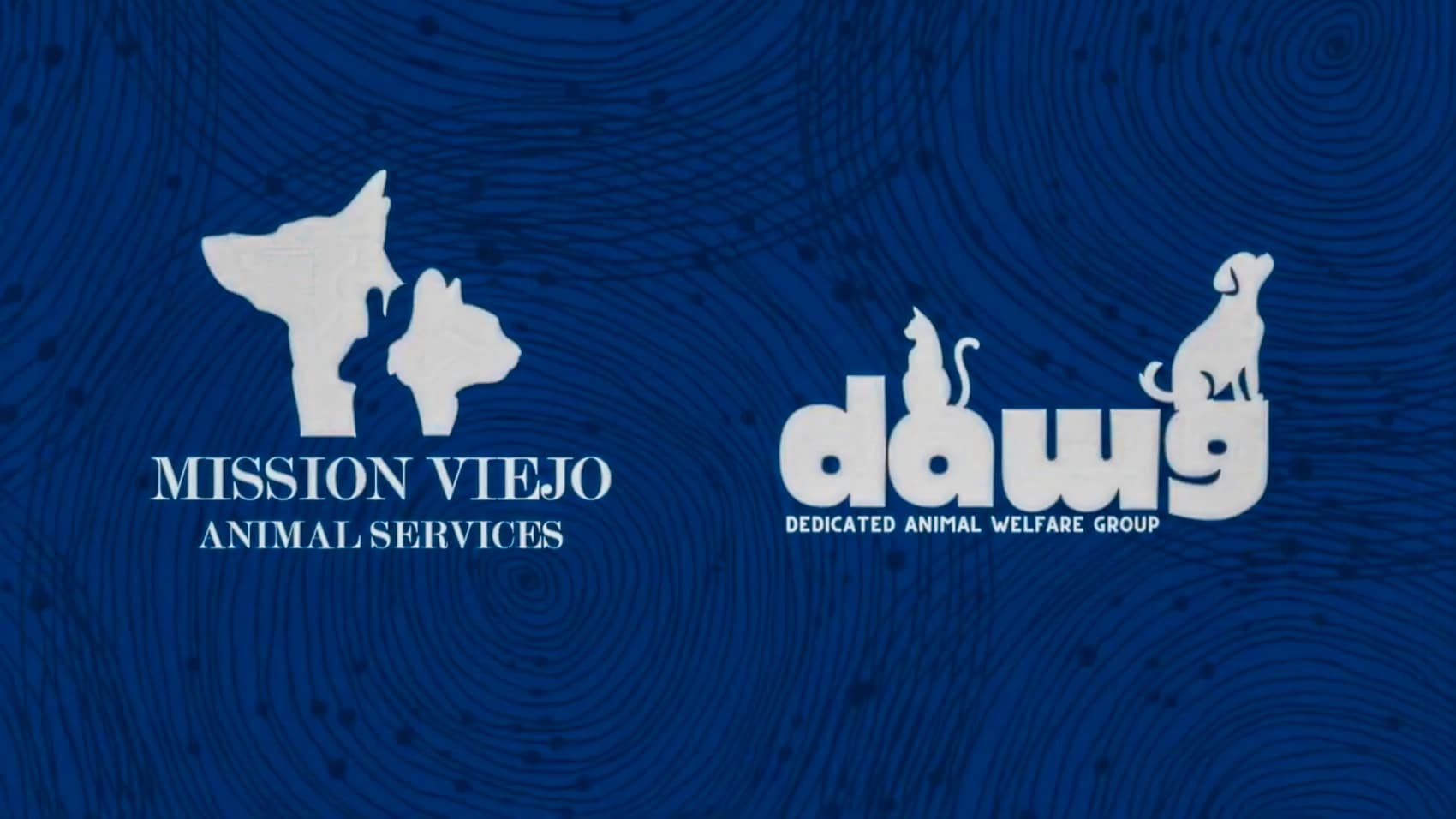 rone Helps Reunite Lost Dog With Her Owner in Mission Viejo