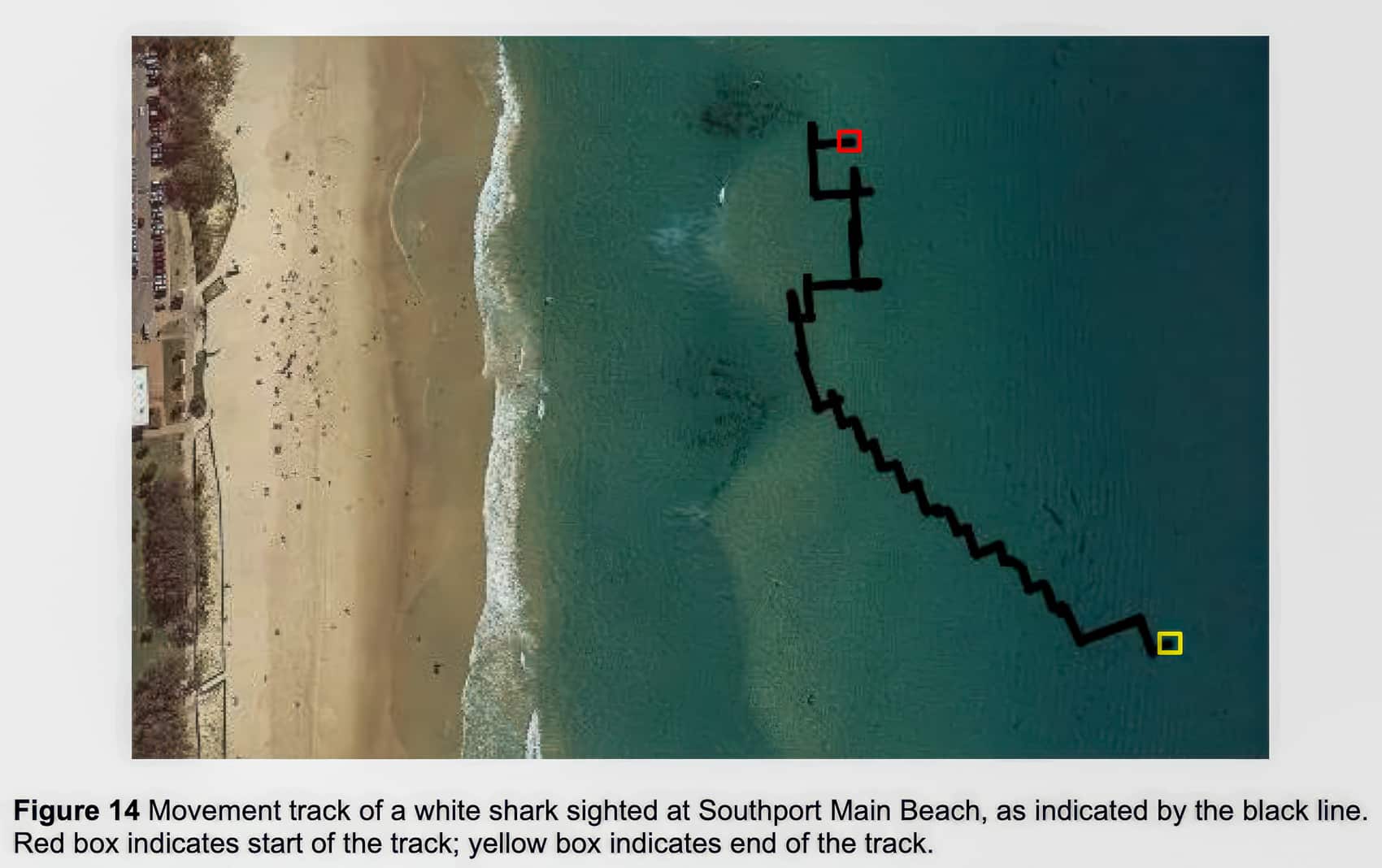 Twice As Effective As Nets: Queensland To Make Shark-Spotting Dji Drones A Permanent Fixture