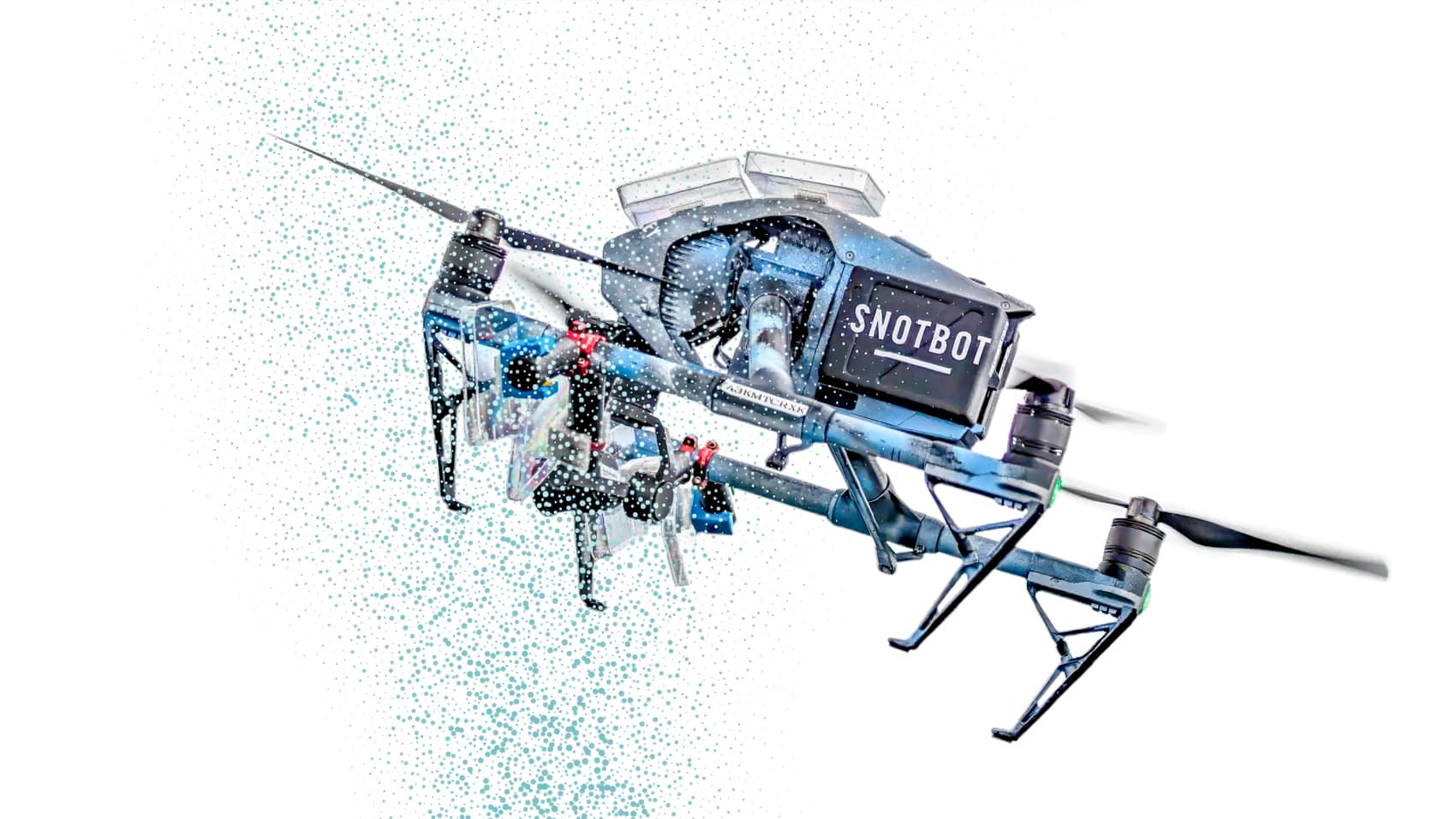 Dji Drones Give Scientists A New Look At Whales And Their Behavior