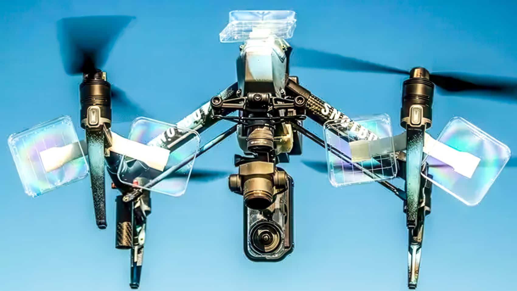 Dji Drones Give Scientists A New Look At Whales And Their Behavior