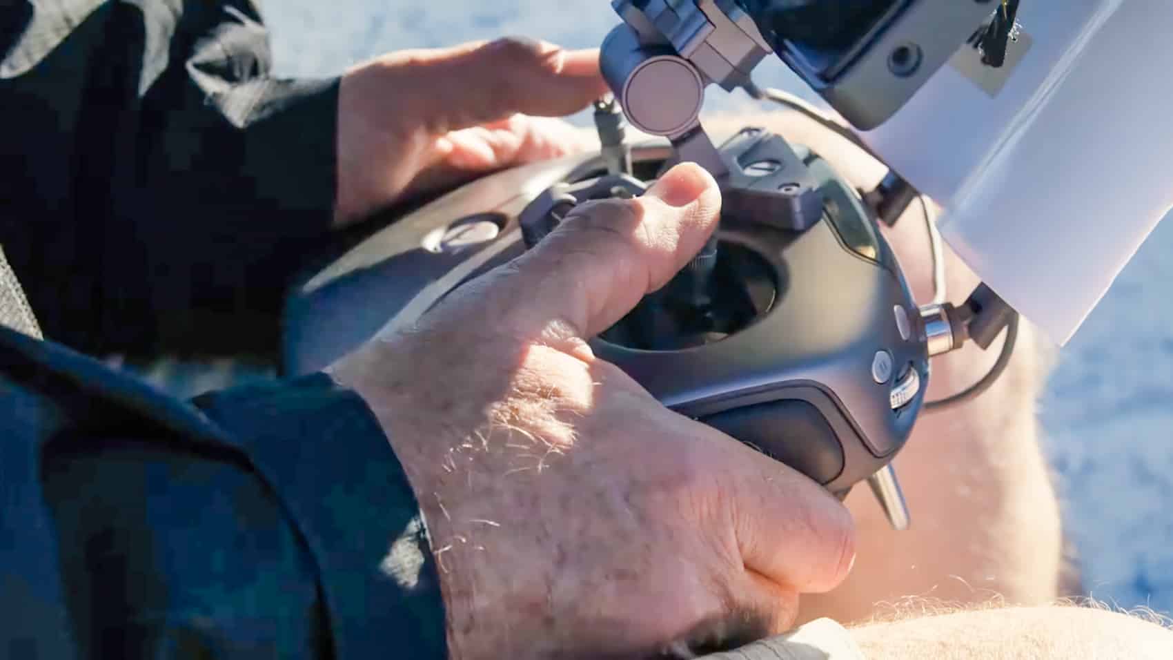 Dji Drones Give Scientists A New Look At Whales And Their Behavior