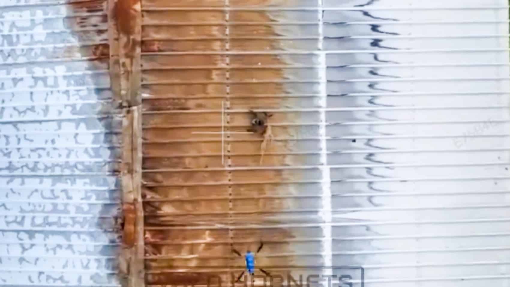 Ukrainian Queen Hornet Saves A Mavic In Daring Drone Rescue