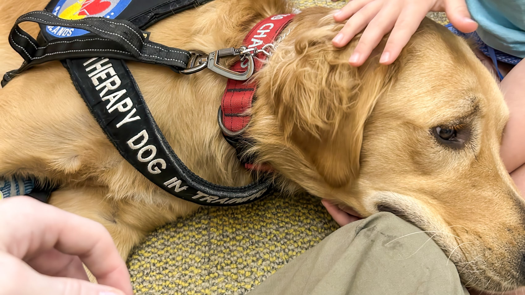 Autel Thermal Drone And Therapy Pup Team Up In Maine