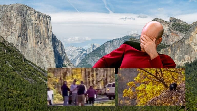 Anarchy In The Sky: Dji Drones Invade Yosemite