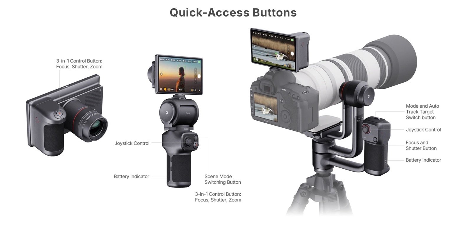 Ex-Dji Engineers Launch Ai Bird Camera With Massive 1,750Mm Zoom