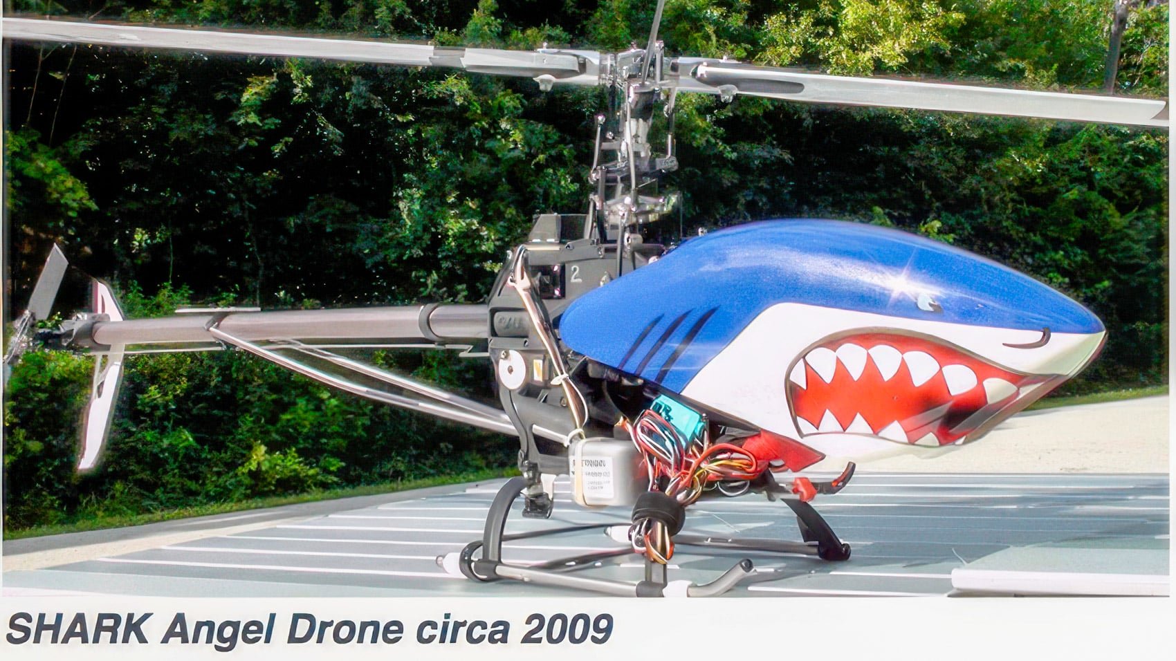 How Shark Uses Drones To Fight Animal Cruelty