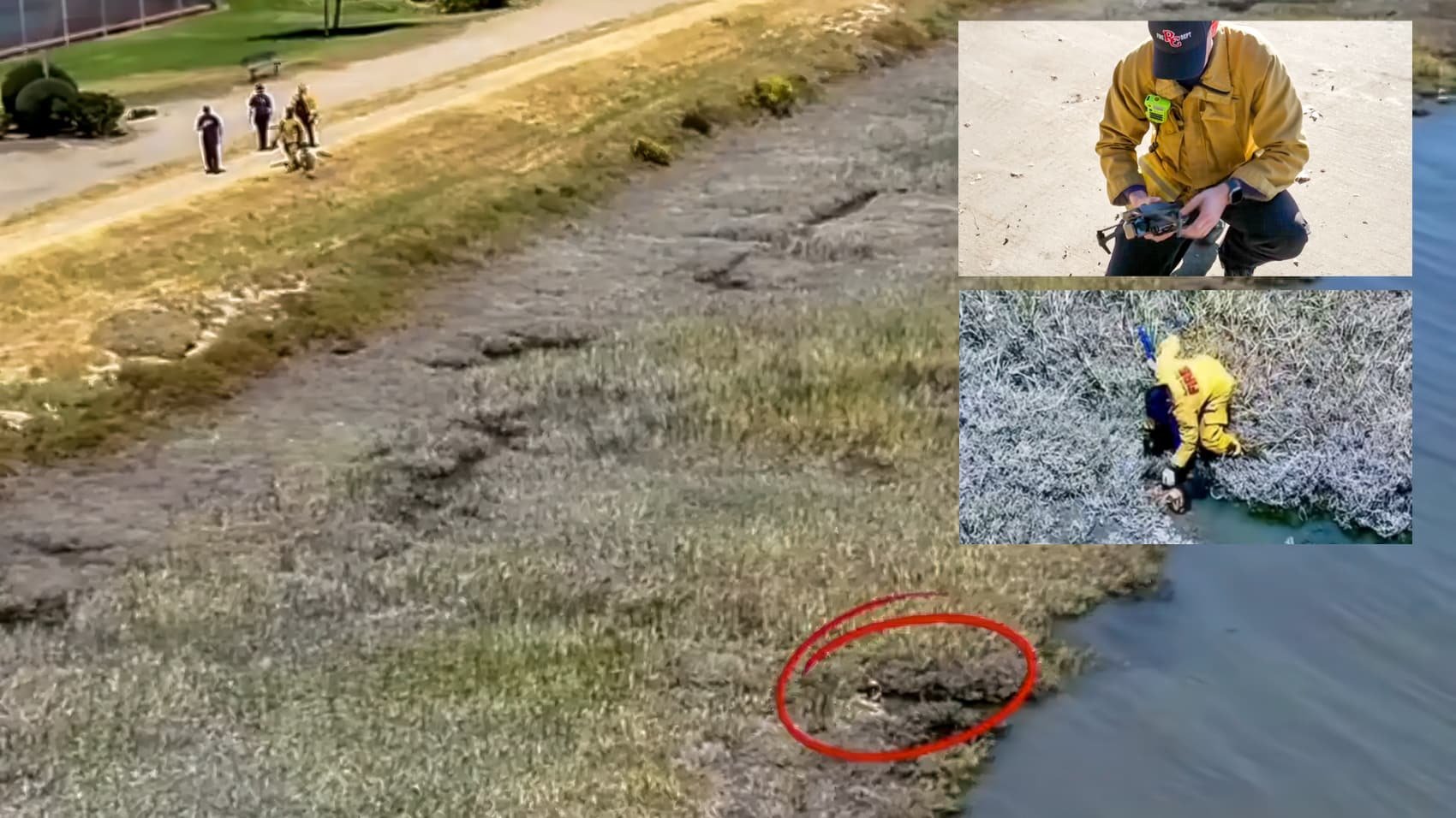 Drone Helps Firefighters Save Tiny Dog From California Canal