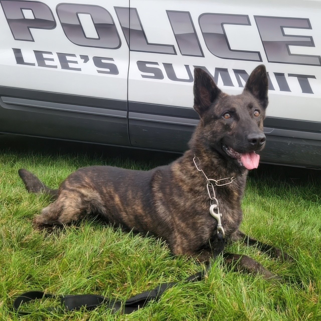 Suspect Shoots At Police Drone In Lee’s Summit Chase