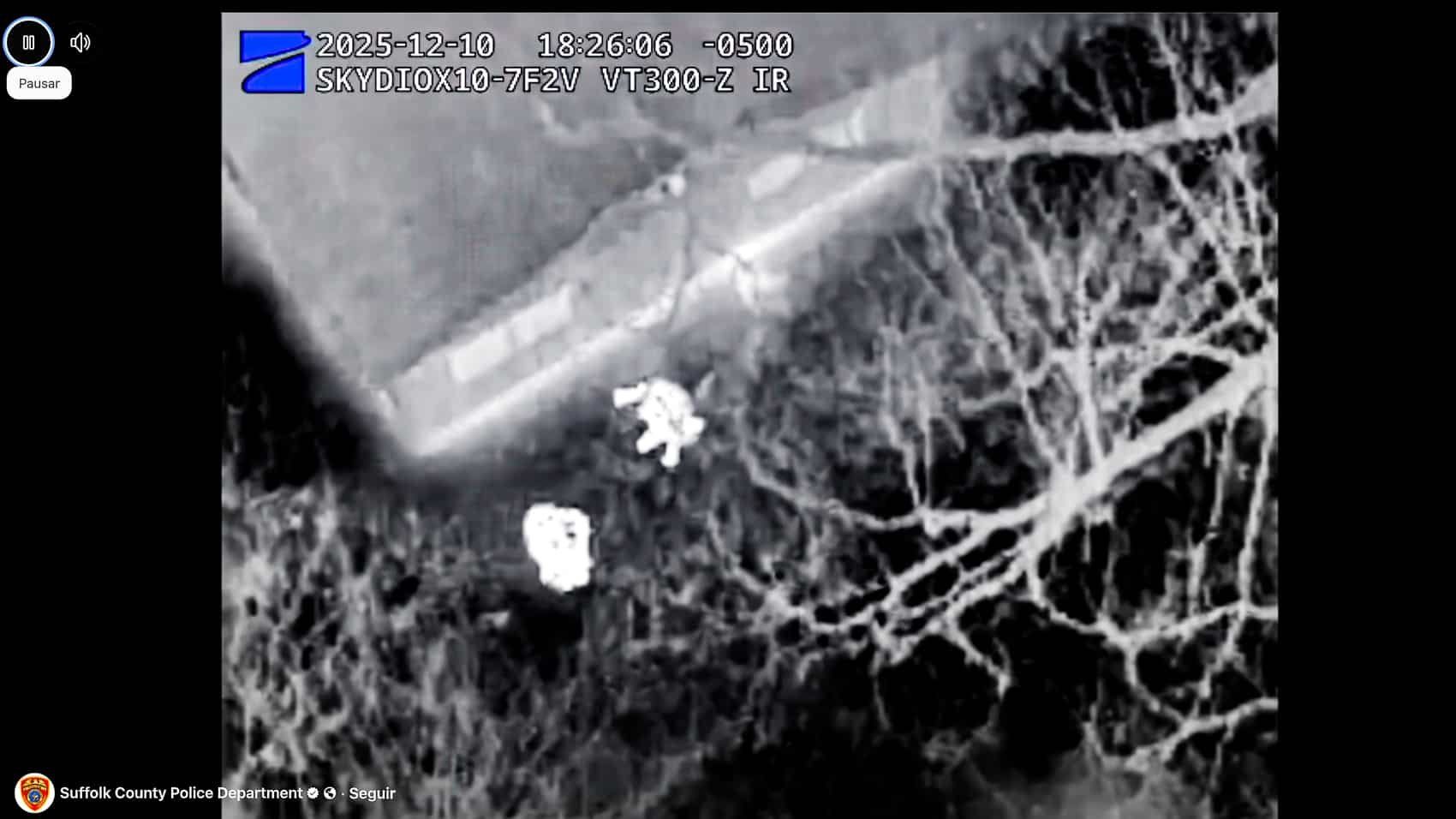 Skydio X10 Drone Nails Shoplifting Suspect On Long Island