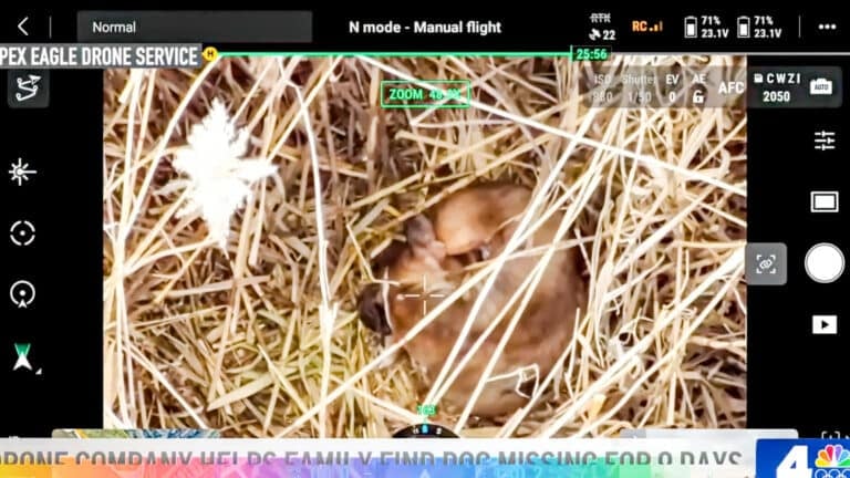 Lost Dog Found By Drone After 9 Days In New Jersey