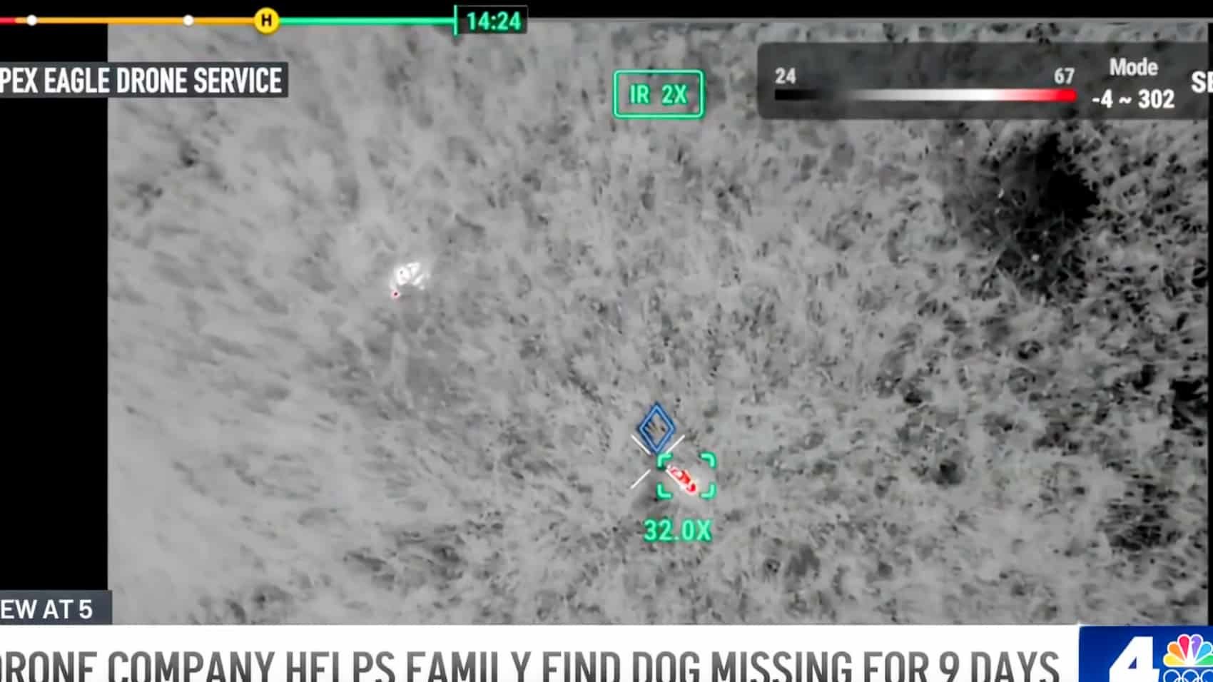 Lost Dog Found By Drone After 9 Days In New Jersey